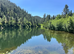 Sturgis Trail System
