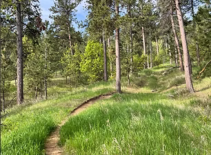 7th Cavalry Trail