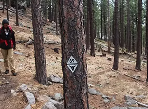 Centennial Trail
