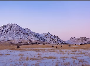 Bear Butte